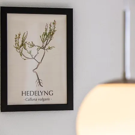 Lindvig Ferie - Danhostel Aparthotel Nymindegab