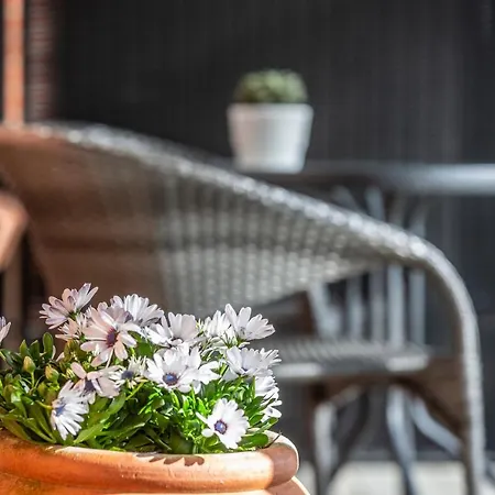 Hotel Lindvig - Ferie I Naturen Nymindegab