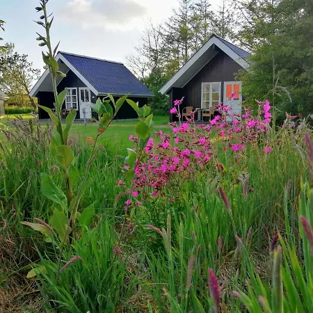 Hotel Lindvig - Ferie I Naturen Nymindegab